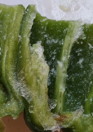 Una foto de Morrones congelados