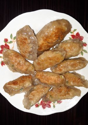Foto resep Gyoza Mie 😉