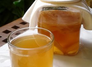 Foto resep Teh Kombucha (Fermented Tea - Probiotik Drink)
