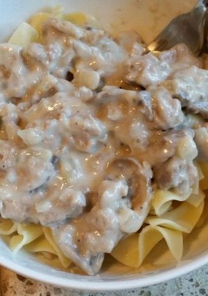 A picture of Turkey Stroganoff.