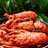 Lobster Saos Padang