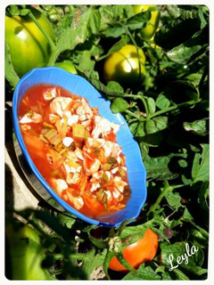 عکسی از دستور ترشی گوجه مشهدی