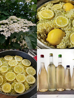 Bodzaszörp recept fotója