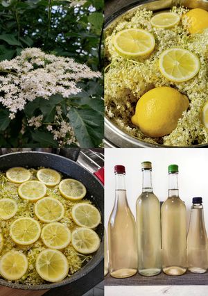 Bodzaszörp recept fotója