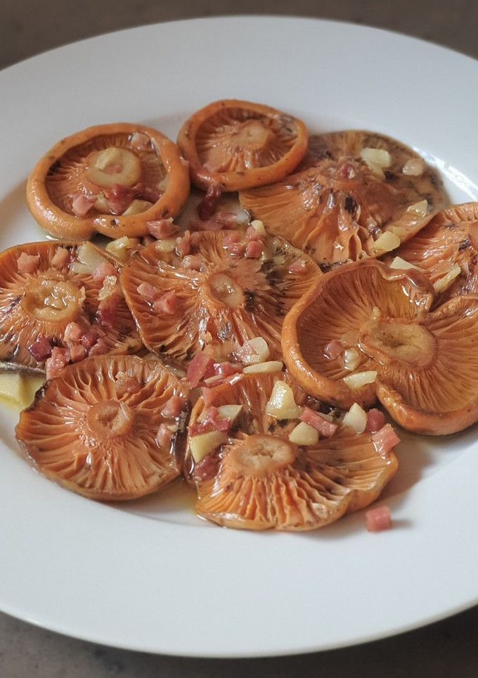 Una foto de Níscalos al ajillo con taquitos de jamón