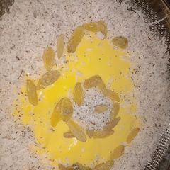 A picture of Simple mango custard.