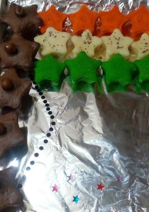 A picture of Tiranga.
