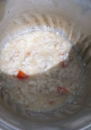 Foto resep Menu MPASI BB Booster - Bubur Daging Santan