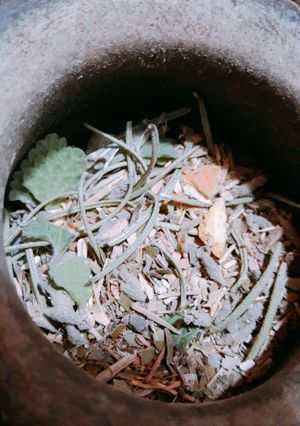 Una foto de Mate de hierbas 😍😋😊