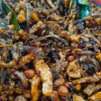 Tempe Tahu Teri irit biaya
