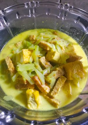 Foto resep Sayur lodeh labu siam (isian tempe dan tahu)