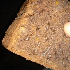 A picture of Chocolate carrot wheat cake.