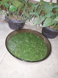 صورة لوصفة ملوخية