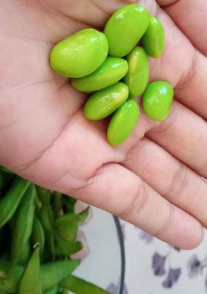 Foto resep Edamame rebus