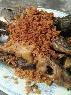 Foto resep Lele kremes simple