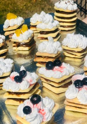 Una foto de Mini Rogel