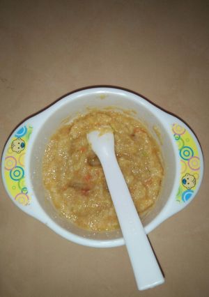 Foto resep MPASI 9m tanpa Evo