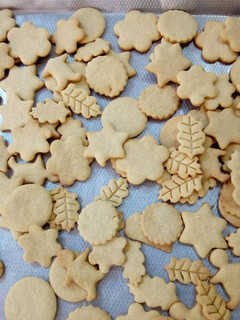 A picture of Cookies.