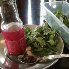 A picture of Tips Homemade Mint Powder: Freshness in a Jar.