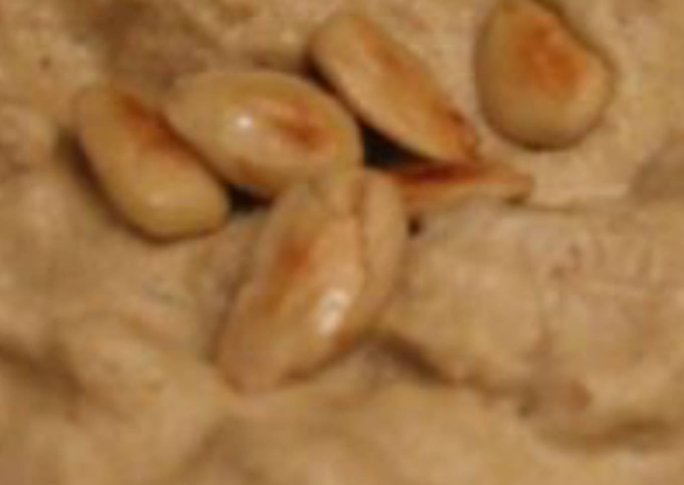 Pollo en salsa de almendras y manzana comida típica de ceuta