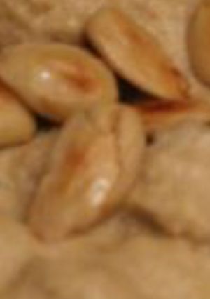 Foto principal de Pollo en salsa de almendras y manzana comida típica de ceuta