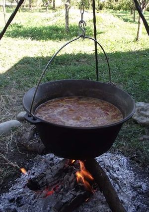 O poză a rețetei Gulyás la ceaun cu găluște.