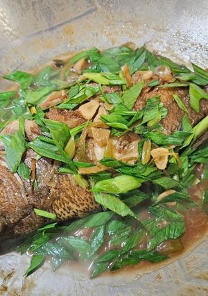 蒜苗紅燒魚 的食譜成品照片