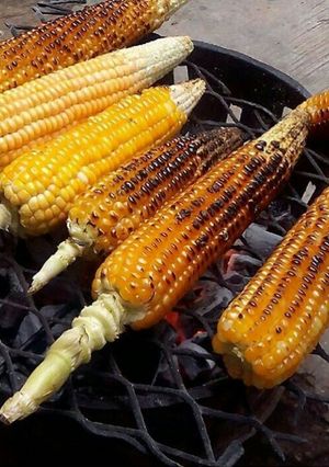 A picture of Roasted corn.