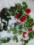 Curd Rice