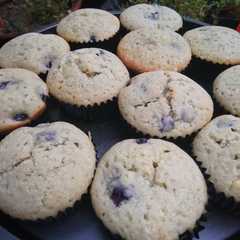 รูปของ Blueberry Muffins