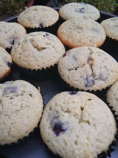 Foto resep Blueberry Muffins