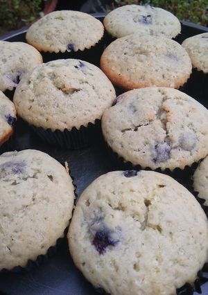 Foto resep Blueberry Muffins