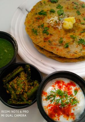 A picture of Raw Mango Paratha.