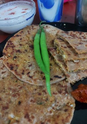 A picture of કોલીફ્લાવર પરાઠા (cauliflower paratha receipe in gujrati).