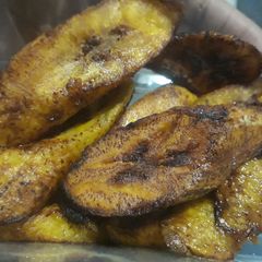 A picture of Dodo.