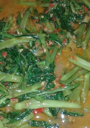 Foto resep Tumis kangkung sambel terasi