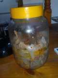 Escabeche de chivo