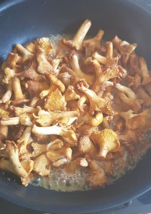 Une photo de Les girolles de mon enfance