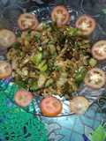 Tinday fry