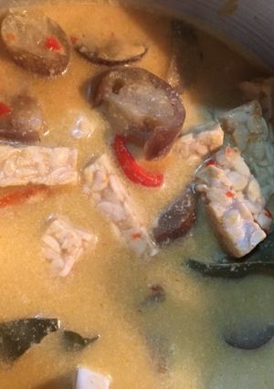 Foto resep Terong Tempe Masak Santan
