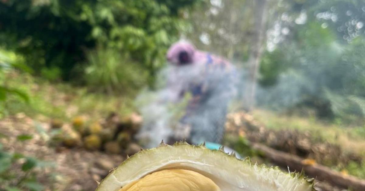 Resep Tempoyak Durian Dijamin Nikmat dan Mudah