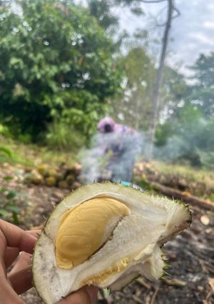 Foto resep Tempoyak durian