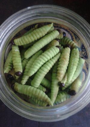 Foto resep Kue Kering Ulat Daun