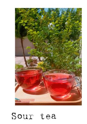عکسی از دستور چای ترش