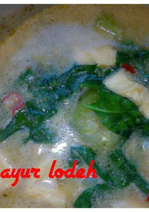 Foto resep Sayur lodeh