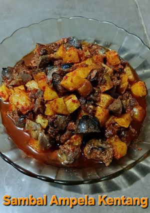Foto resep 107. Sambal Ampela Kentang
