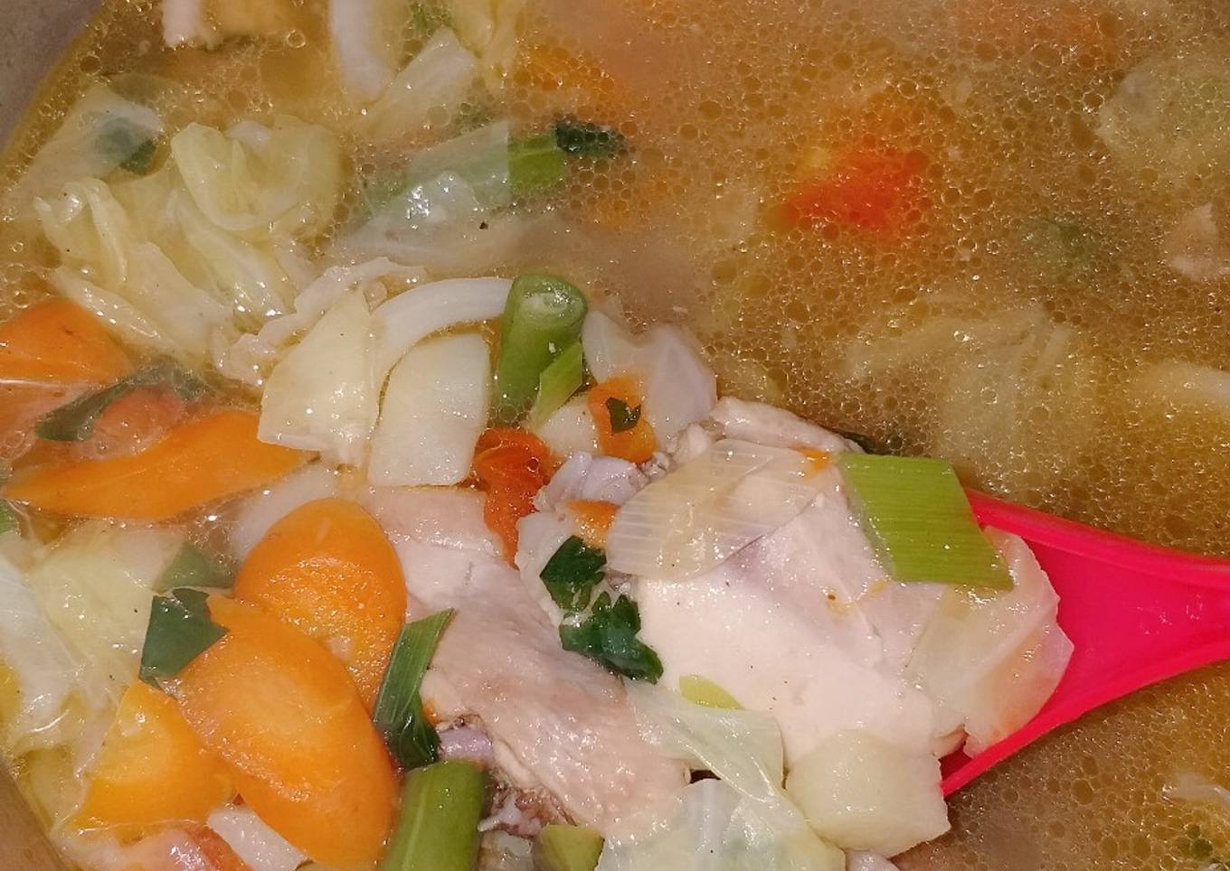 Sup ayam dengan sayuran