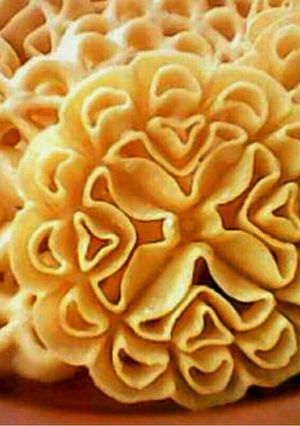Foto resep Kembang goyang no ribet
