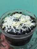 OREO KUKUS+BENG BENG DRINK