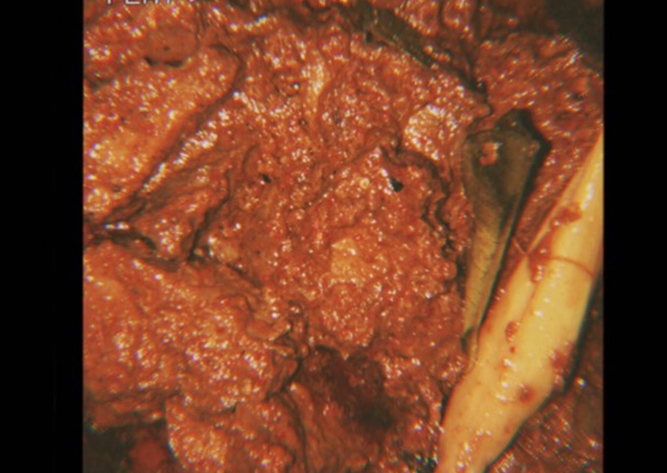 Resep Rendang daging sapi, Lezat